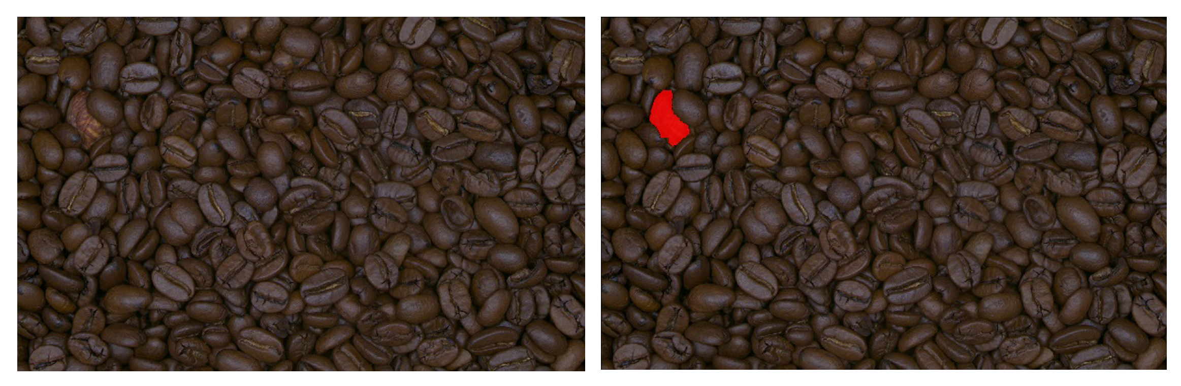 EasySegment SampleForeignMaterialDetection