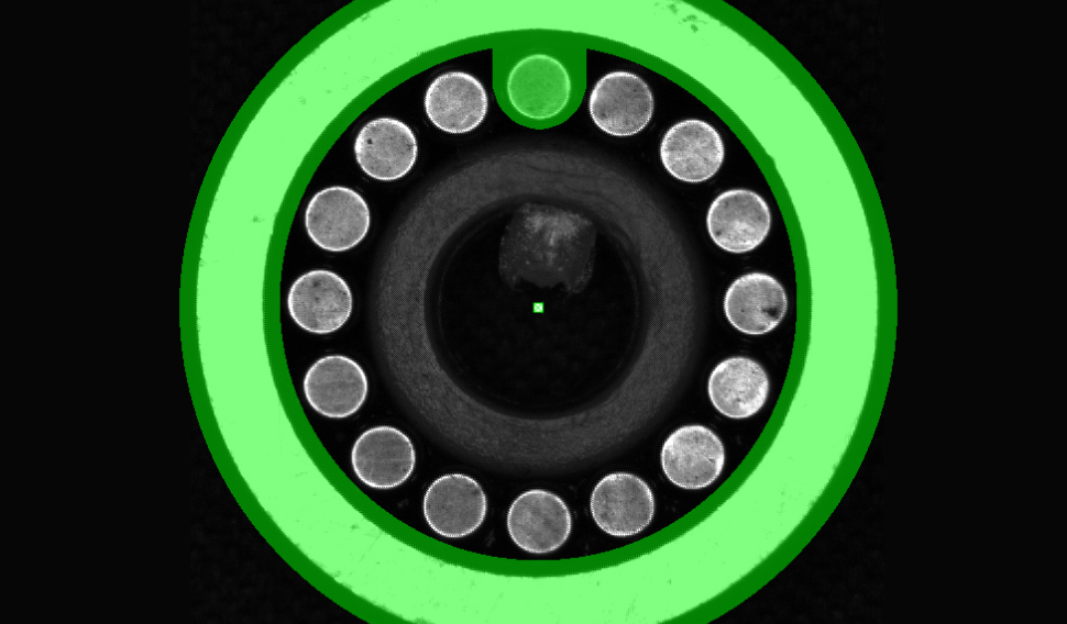 bearing eregion